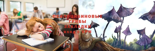 амф Аркадак