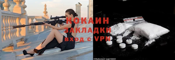 индика Арсеньев
