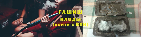 индика Арсеньев