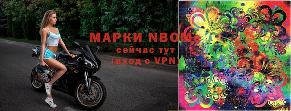 твердый Балахна