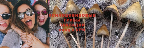 индика Арсеньев