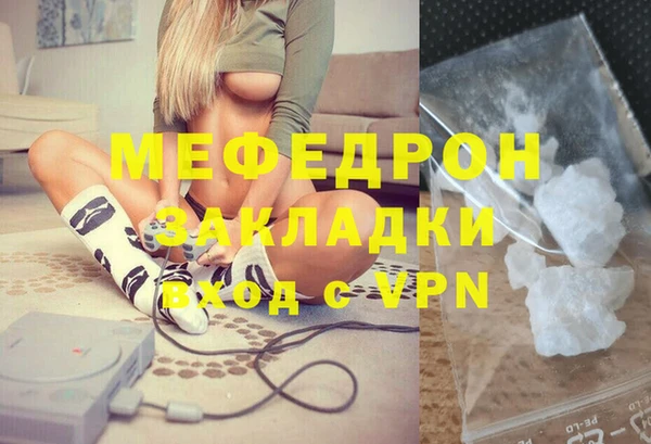 индика Арсеньев
