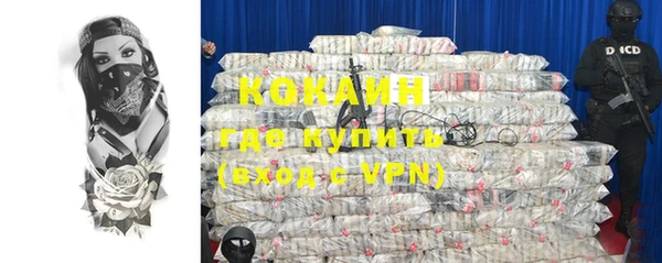 индика Арсеньев