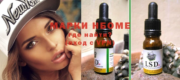 индика Арсеньев