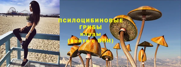 амф Аркадак