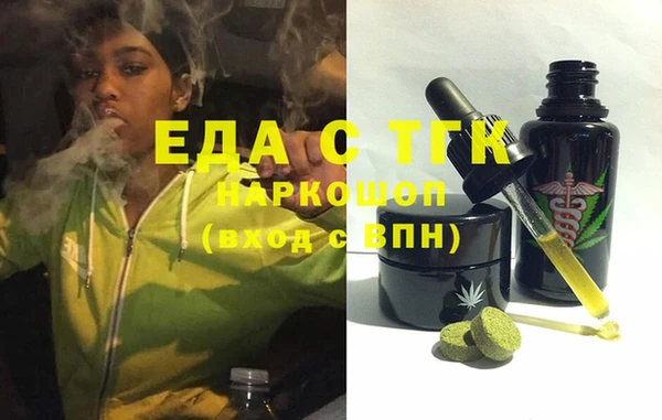индика Арсеньев