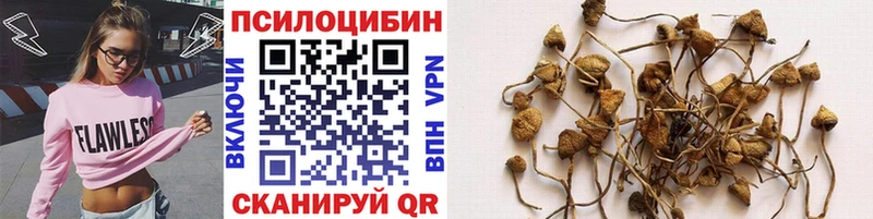 мориарти как зайти  МЕГА сайт  Псилоцибиновые грибы Cubensis  Суровикино  дарнет шоп 